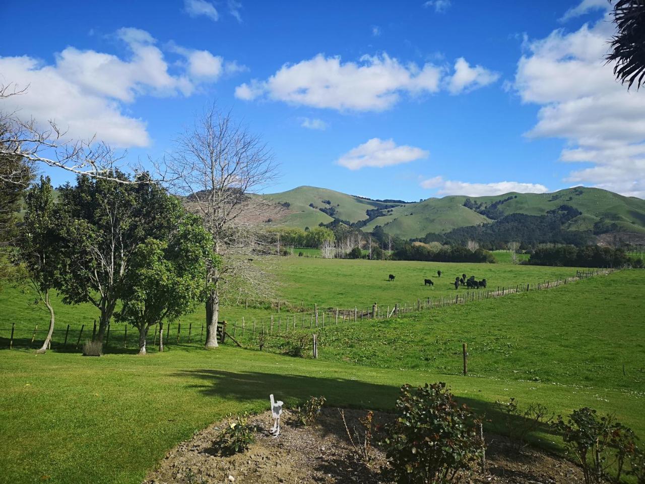 Paeroa Pukeko Lodge Exterior foto